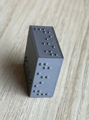 Test braille rectangular plates showing orientation of object during printing. All have the word “Test” in braille.