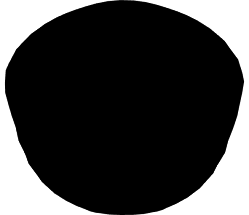 Detailed view of the cutout surface of a head, coloured in black, without window background of the application.