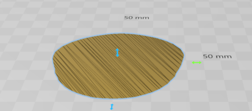 Detailed view of the cutout surface of a head.