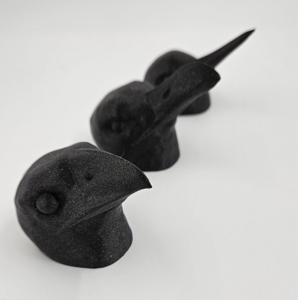Collection of beaks of birds for education for VI