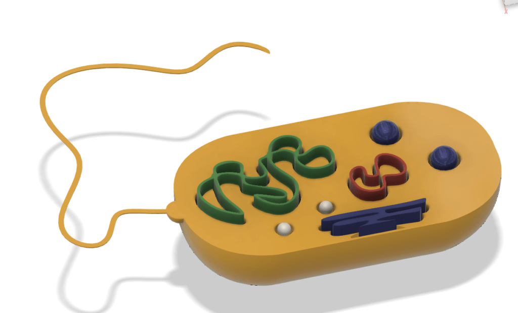 Bacterial Cell
